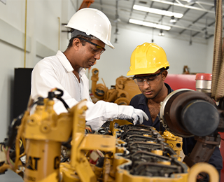 Training & Technical Development